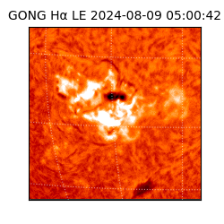 gong - 2024-08-09T05:00:42