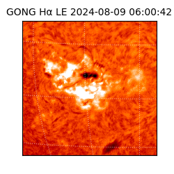 gong - 2024-08-09T06:00:42