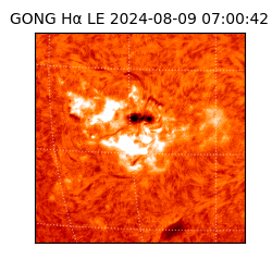 gong - 2024-08-09T07:00:42