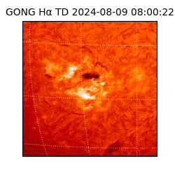 gong - 2024-08-09T08:00:22