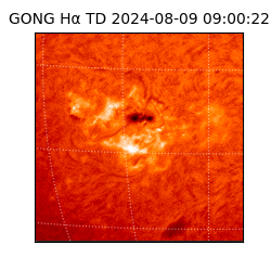 gong - 2024-08-09T09:00:22