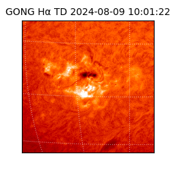 gong - 2024-08-09T10:01:22