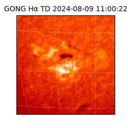 gong - 2024-08-09T11:00:22