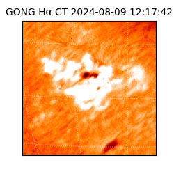 gong - 2024-08-09T12:17:42