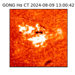 gong - 2024-08-09T13:00:42
