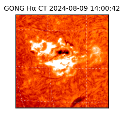 gong - 2024-08-09T14:00:42