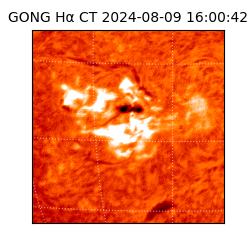 gong - 2024-08-09T16:00:42