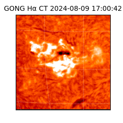 gong - 2024-08-09T17:00:42