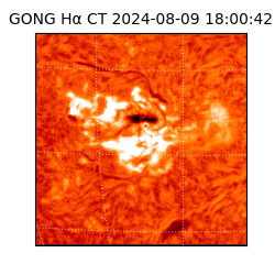 gong - 2024-08-09T18:00:42