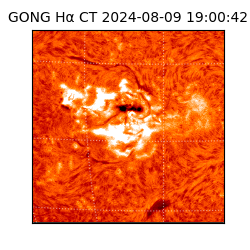 gong - 2024-08-09T19:00:42