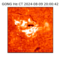 gong - 2024-08-09T20:00:42