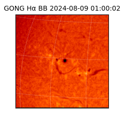 gong - 2024-08-09T01:00:02