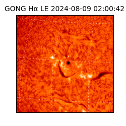 gong - 2024-08-09T02:00:42
