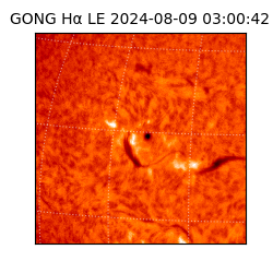 gong - 2024-08-09T03:00:42