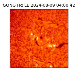 gong - 2024-08-09T04:00:42