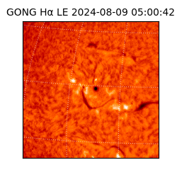 gong - 2024-08-09T05:00:42