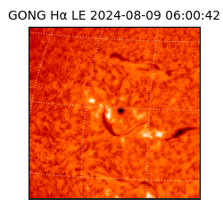 gong - 2024-08-09T06:00:42