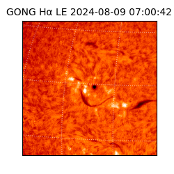 gong - 2024-08-09T07:00:42