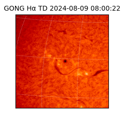 gong - 2024-08-09T08:00:22