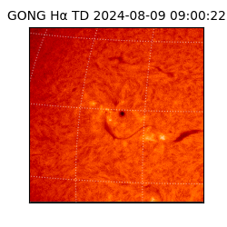 gong - 2024-08-09T09:00:22