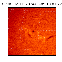 gong - 2024-08-09T10:01:22