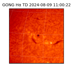 gong - 2024-08-09T11:00:22