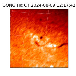 gong - 2024-08-09T12:17:42