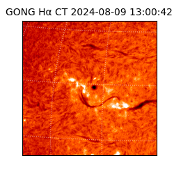 gong - 2024-08-09T13:00:42