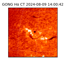 gong - 2024-08-09T14:00:42