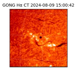 gong - 2024-08-09T15:00:42