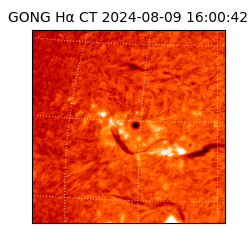 gong - 2024-08-09T16:00:42