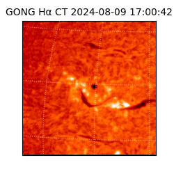 gong - 2024-08-09T17:00:42