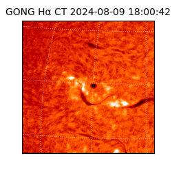 gong - 2024-08-09T18:00:42