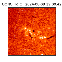gong - 2024-08-09T19:00:42