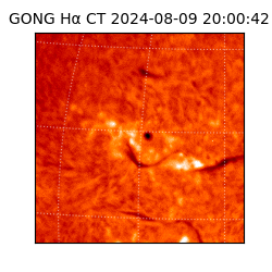 gong - 2024-08-09T20:00:42