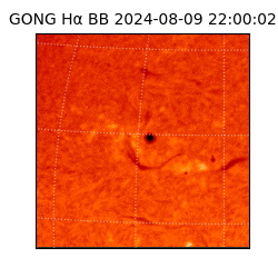 gong - 2024-08-09T22:00:02