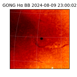 gong - 2024-08-09T23:00:02