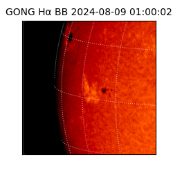 gong - 2024-08-09T01:00:02