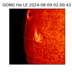 gong - 2024-08-09T02:00:42