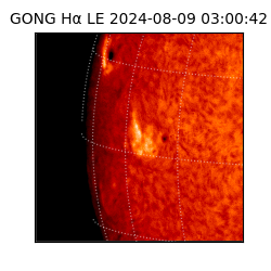 gong - 2024-08-09T03:00:42