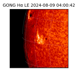 gong - 2024-08-09T04:00:42