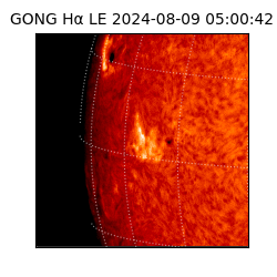 gong - 2024-08-09T05:00:42