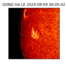 gong - 2024-08-09T06:00:42