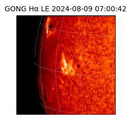 gong - 2024-08-09T07:00:42