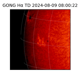 gong - 2024-08-09T08:00:22
