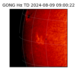 gong - 2024-08-09T09:00:22