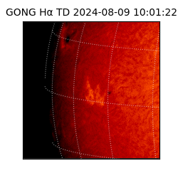 gong - 2024-08-09T10:01:22