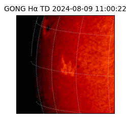 gong - 2024-08-09T11:00:22