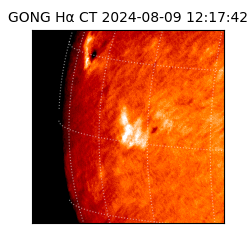gong - 2024-08-09T12:17:42
