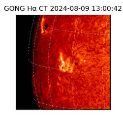 gong - 2024-08-09T13:00:42